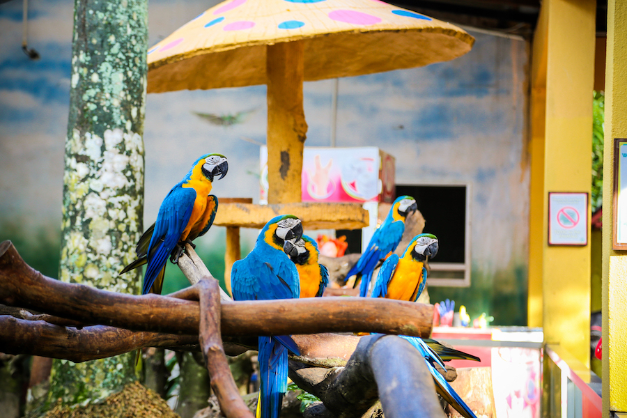 Langkawi